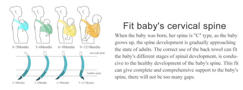 Hip Dysplasia carrier